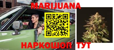 сатива Можга