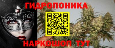 сатива Можга