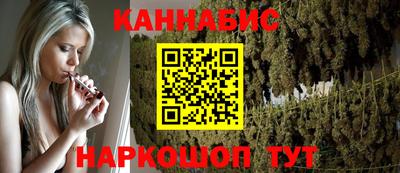 сатива Можга