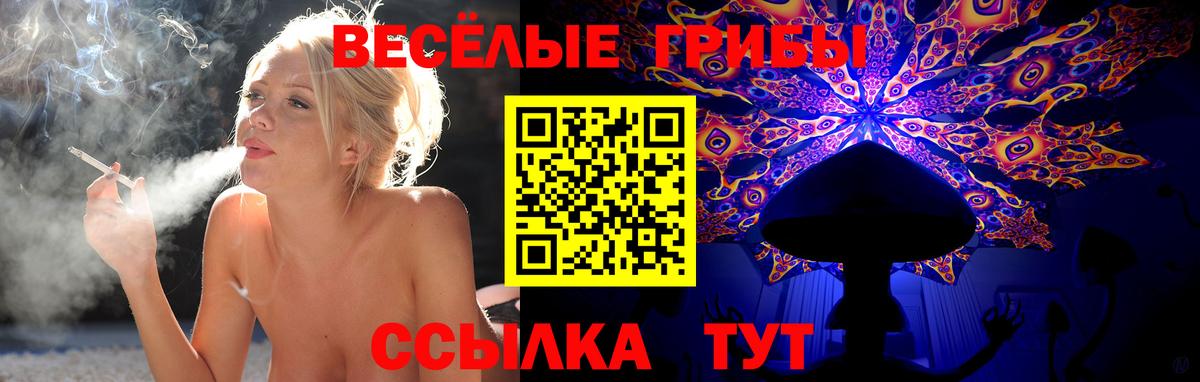 где можно купить   Галлюциногенные грибы GOLDEN TEACHER  Вход с VPN  Бугуруслан 